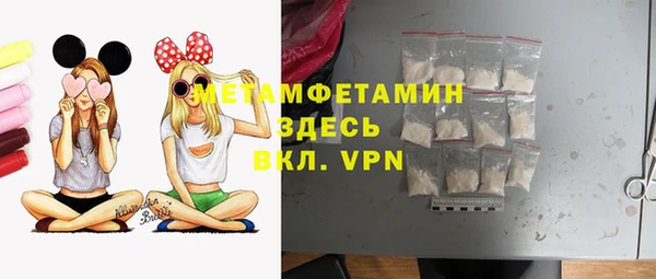 мет Алексин