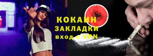 мет Алексин