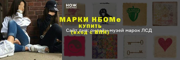 мет Алексин