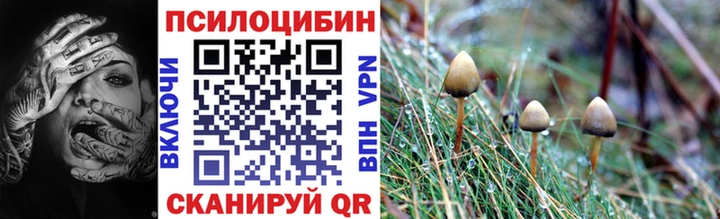 Псилоцибиновые грибы прущие грибы что такое наркотик Дыгулыбгей